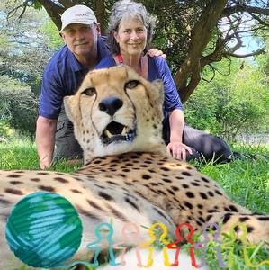 Meet your Posher, Sandy